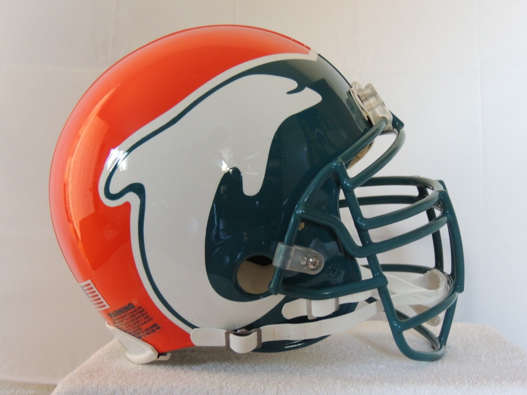 Dolphins Helmet